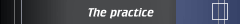 The practice