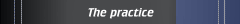 The practice